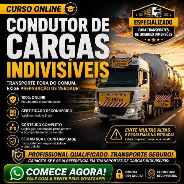 Curso Cargas Indivisíveis